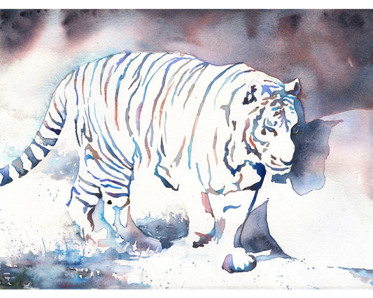 Watercolor painting of tiger walking at animal park.  Tiger artwork watercolor painting striped animal African Safari art big cat decor