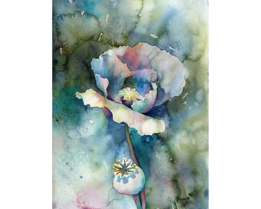 Poppy painting.  Original watercolor painting of poppy fine art floral artwork poppy flower.  Watercolor of flowers poppy art colorful