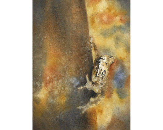 Tree frog artwork.  Watercolor painting of tree frog yellow brown watercolor amphibian decor.  Yellow brown amphibian frog artwork decor (print)